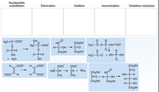 1166_Chemical reaction.jpg